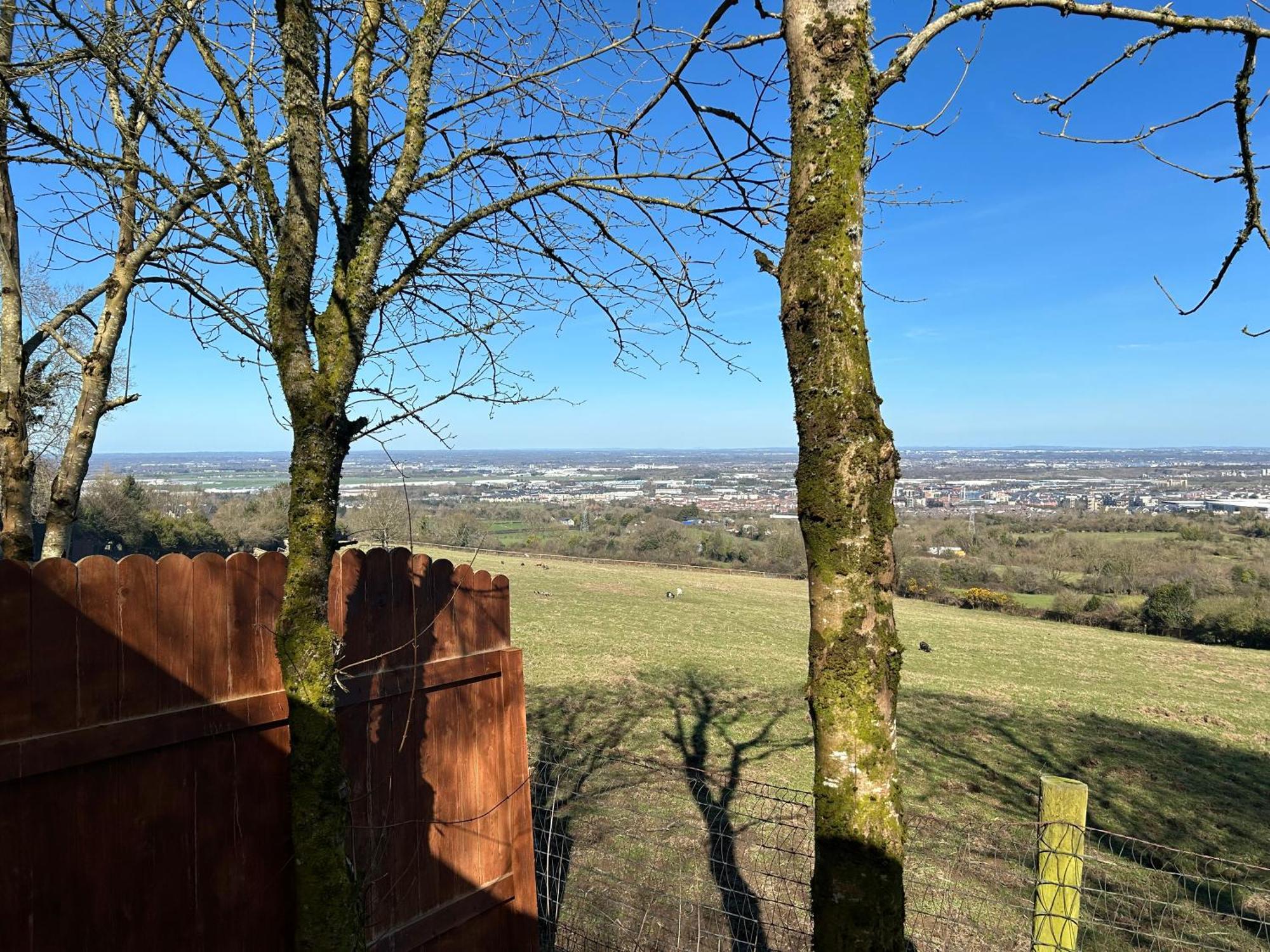 Sky Gazer Cabin In The Woods Dublin Bagian luar foto